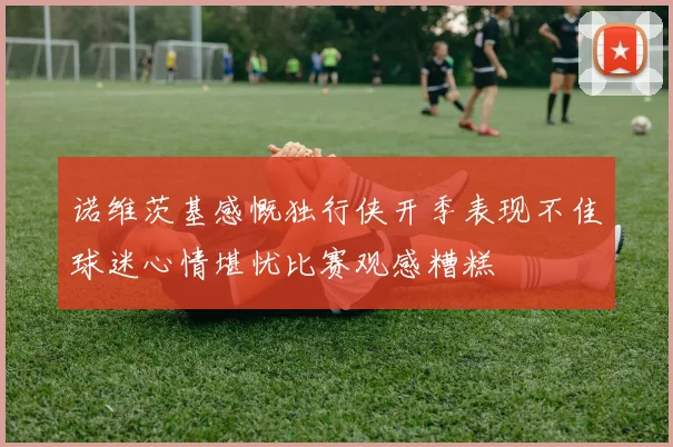 诺维茨基感慨独行侠开季表现不佳球迷心情堪忧比赛观感糟糕