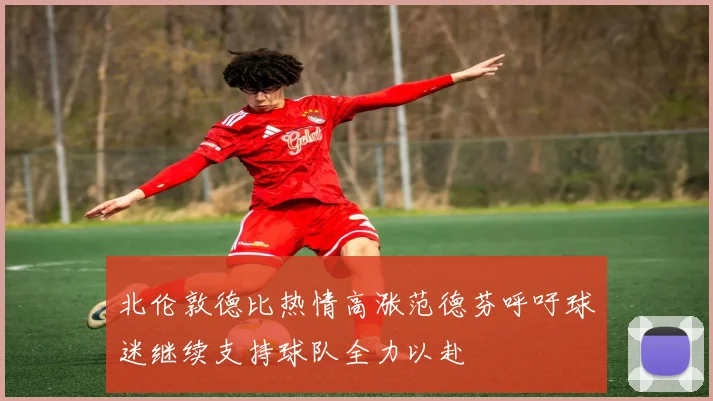 北伦敦德比热情高涨范德芬呼吁球迷继续支持球队全力以赴