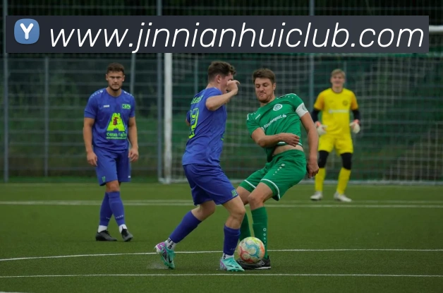 金年会平台生态图